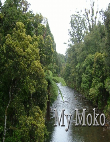 My Moko