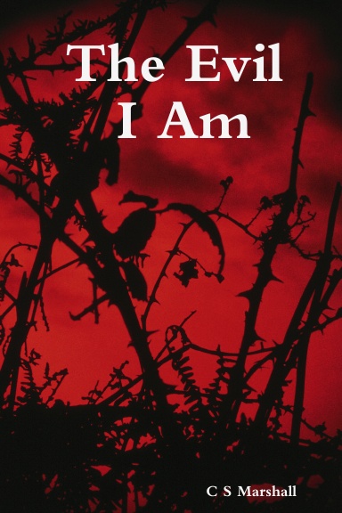 The Evil I Am