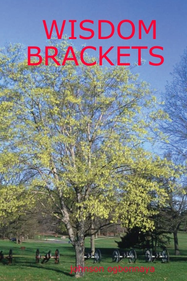 WISDOM BRACKETS