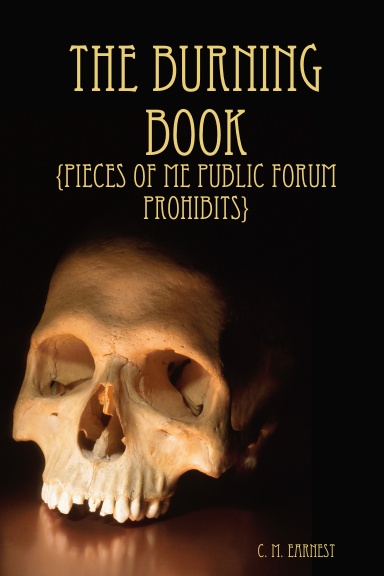 The Burning Book