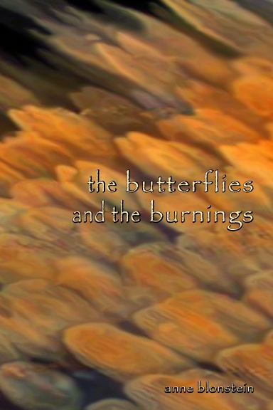 The Butterflies and the Burnings