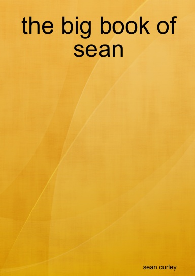 the big book of sean
