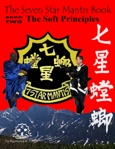 The Seven Star Mantis Book: Soft Principles