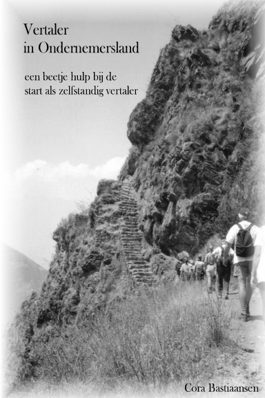 Vertaler in Ondernemersland