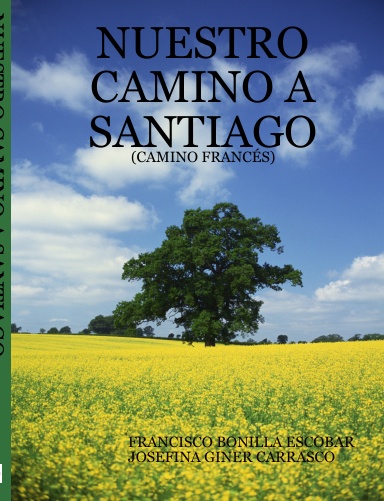 NUESTRO CAMINO A SANTIAGO