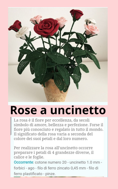 Rose all uncinetto