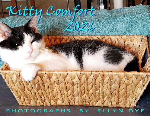 2026 Calendar - Kitty Comfort