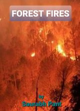 Forest Fires