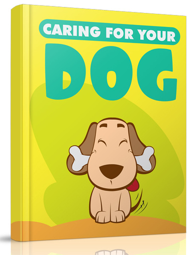 Caring for your dog