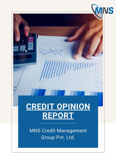 Credit Opinion Report | MNS Credit Management Group