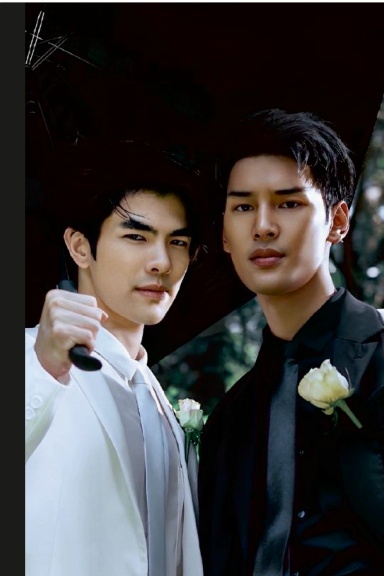 kinnporsche notebook