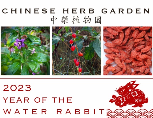 Chinese Herb Garden Calendar: 2023 Year of the Water Rabbit