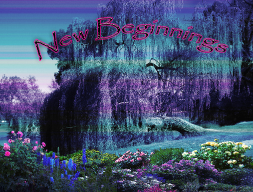 New Beginnings