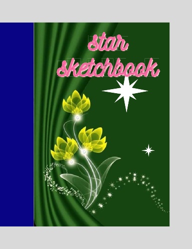 Star sketchbook