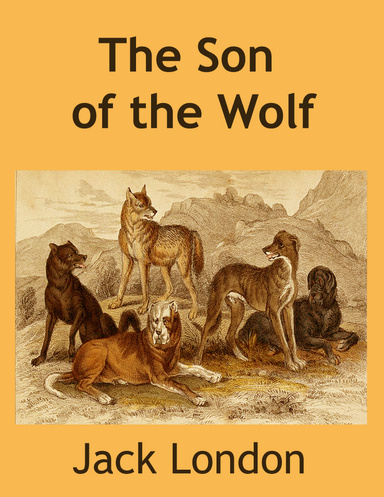 The Son of the Wolf