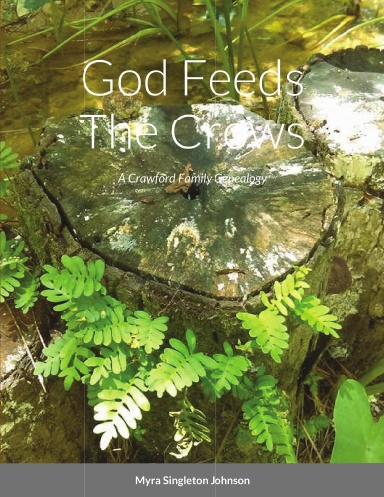 God Feeds The Crows