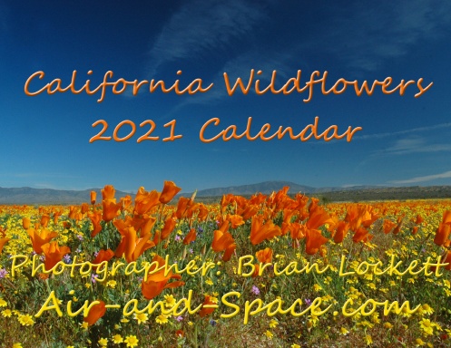 California Wildflowers, 2021 Calendar