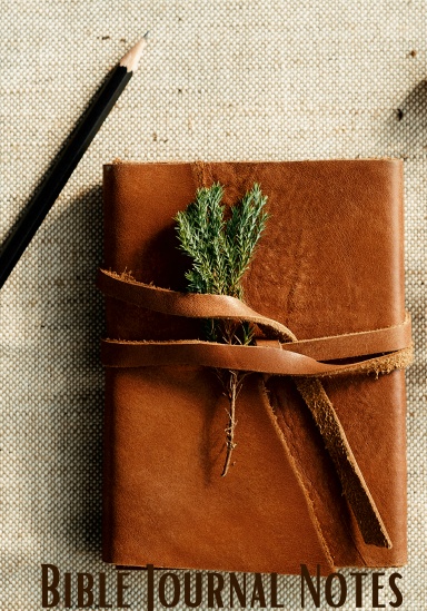 Bible Study Notes