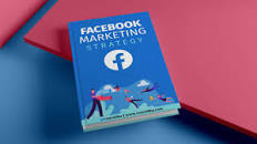 Facebook Strategies and Profits