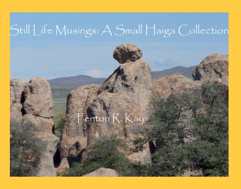 Still Life Musings: A Small Haiga Collection