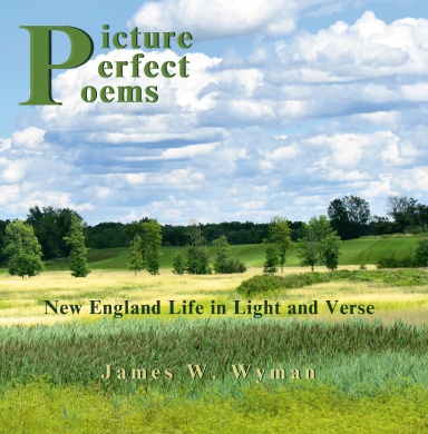 Picture Perfect Poems