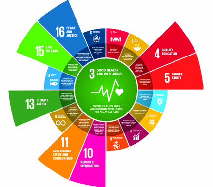 Integrated Public Health Nursing - Betriebliche Gesundheitsförderung & SDOHs- Tool