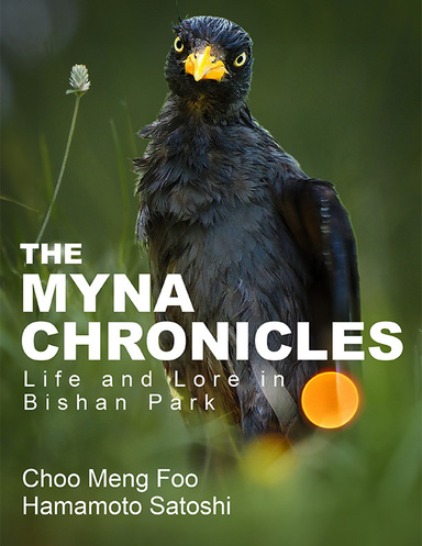 The Myna Chronicles