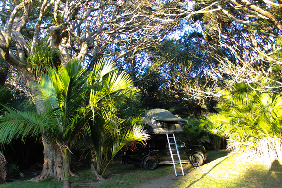 Great Barrier Island Camping Guide