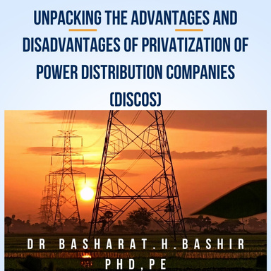 Unpacking the Advantages and Disadvantages of Privatization of Power Distribution Companies (DISCOs)
