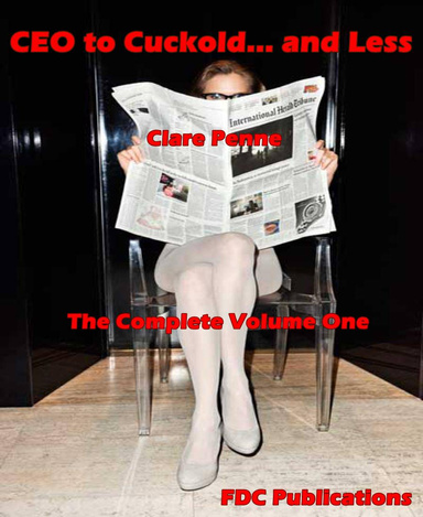 CEO to Cuckold... And Less