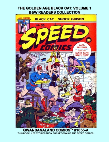 The Golden Age Black Cat: Volume 1