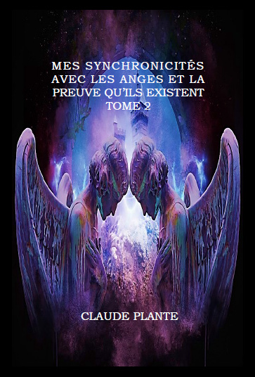 Mes synchronicités avec les anges et la preuve qu'ils existent - Tome 2 (EBOOK)