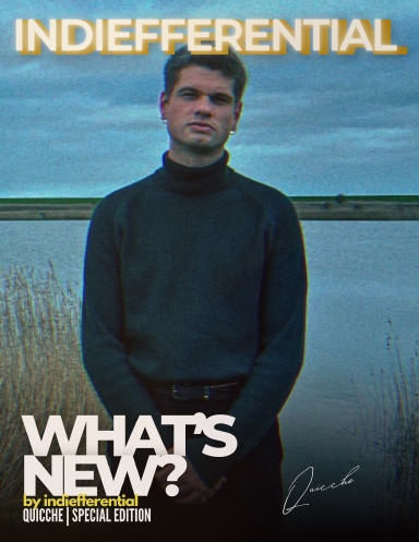 What's New? Special Edition Quicche