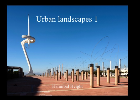 Urban landscapes 1