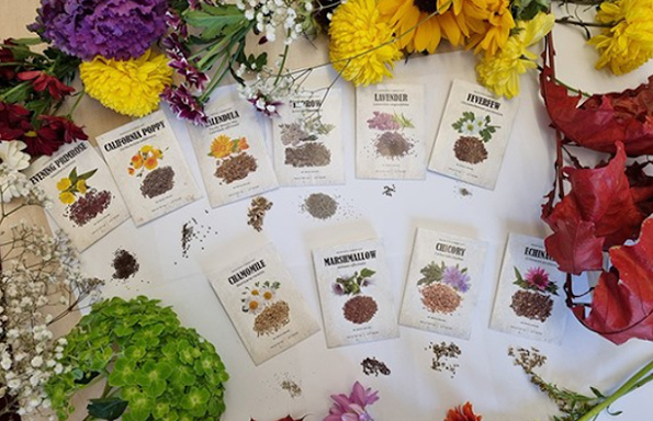 A Complete Natural Pharmacy in Your Backyard