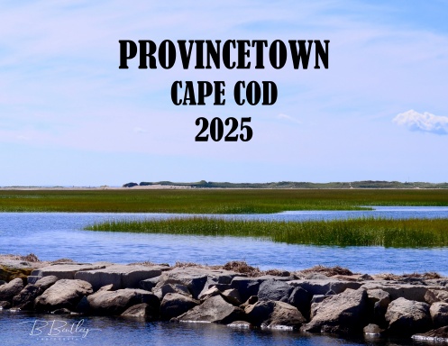 Provincetown, Cape Cod Calendar 2025
