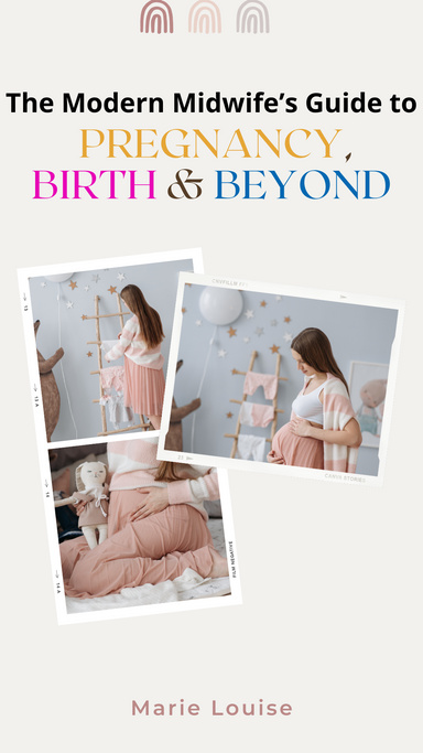 The Modern Midwife’s Guide to Pregnancy, Birth and Beyond