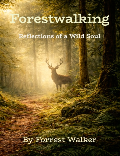 Forestwalking: Reflections of a Wild Soul