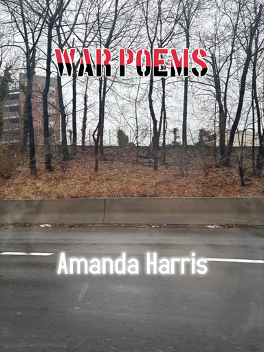 War Poems