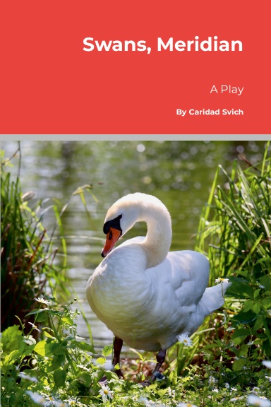 Swans, Meridian