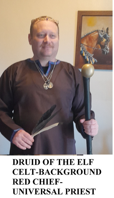 Druid Beginner