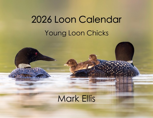 2026 Loon Calendar