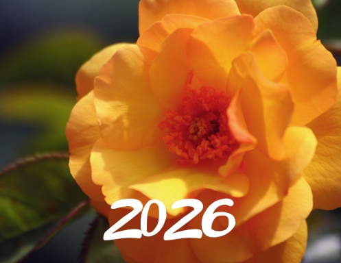 Calendrier 2026