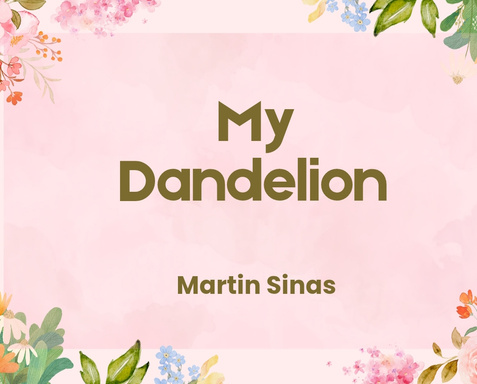 My Dandelion
