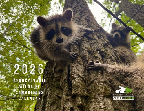2026 Pennsylvania Wildlife Samaritans Calendar