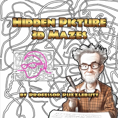 Hidden Picture 3D Mazes