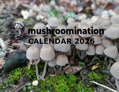 Mushroomination 2026