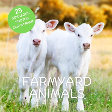 Farmyard Animals