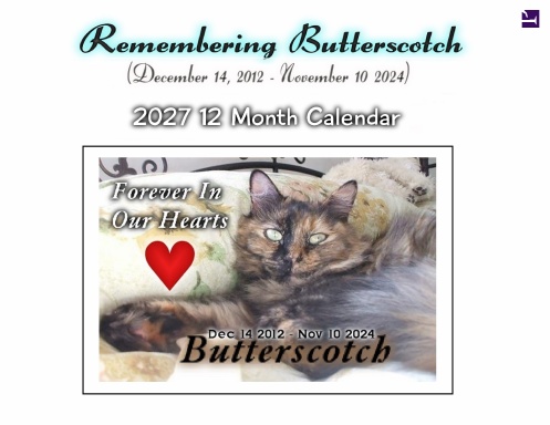 2027 12 Month Calendar Remembering Butterscotch The Kitty