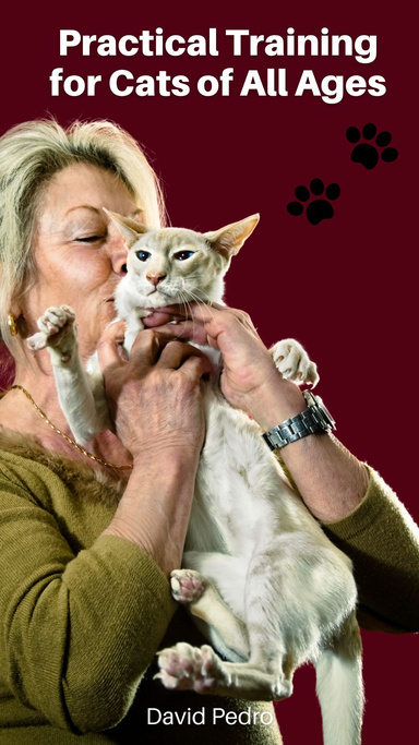 Practical Training for Cats of All Ages